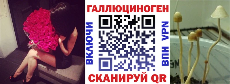 как найти закладки  Орск  hydra онион  Галлюциногенные грибы MAGIC MUSHROOMS 