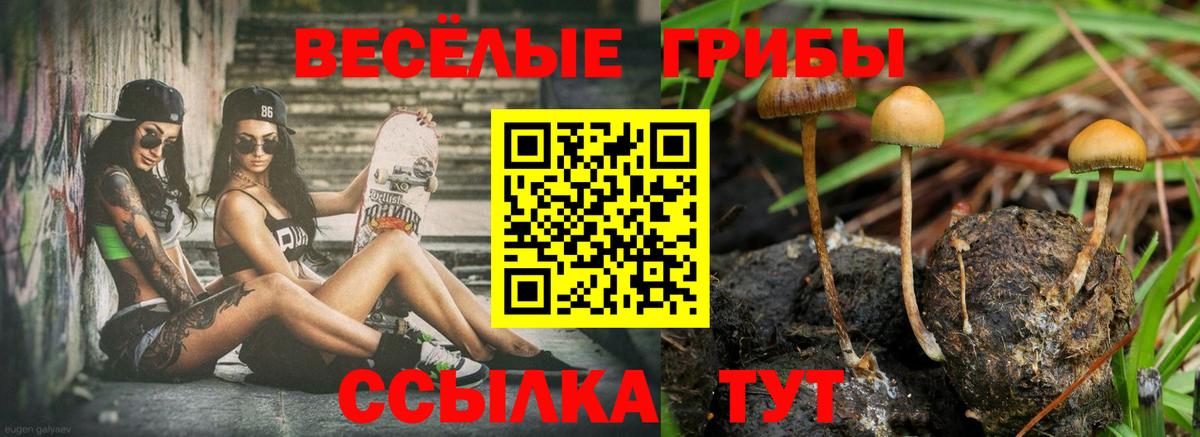 Галлюциногенные грибы MAGIC MUSHROOMS Орск