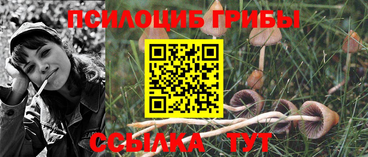 Псилоцибиновые грибы Psilocybine cubensis  Псилоцибиновые грибы Magic Shrooms  Орск  Вход с VPN 